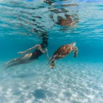 Lizard Island is een van de beste plekken om te snorkelen