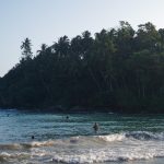 Tips voor de zuid-westkust van Sri Lanka