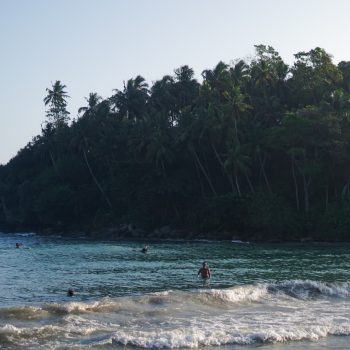 de-zuidkust-van-sri-lanka-wil-je-op-je-lijstje-zetten-ik-verbleef-er-vijf-weken-en-dit-zijn-mijn-tips-349164