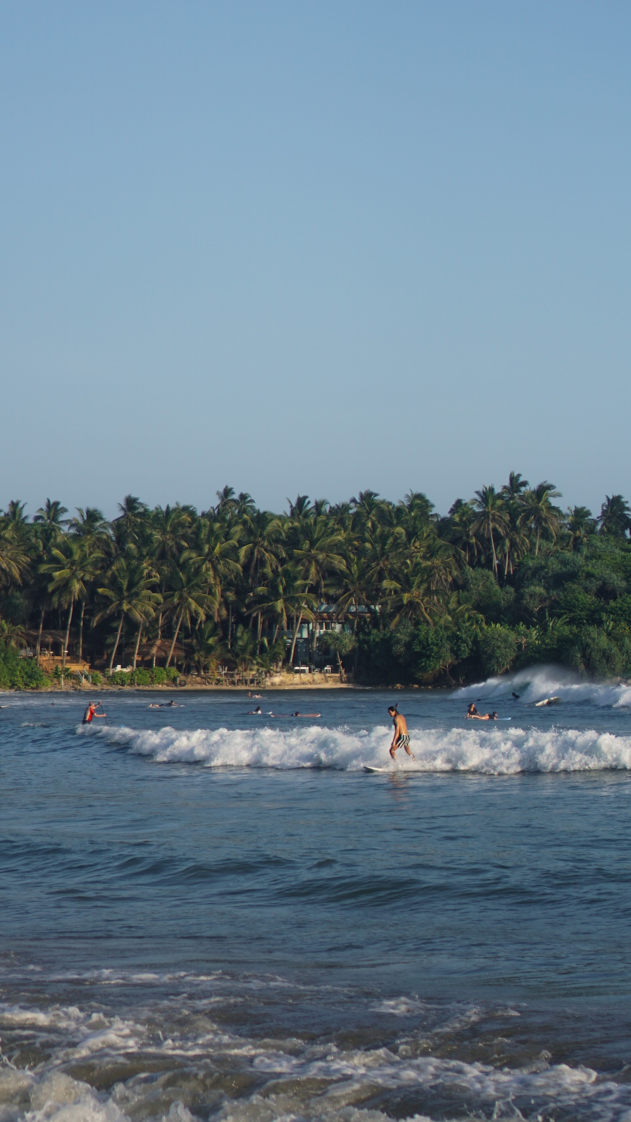 Tips voor de zuid-westkust van Sri Lanka