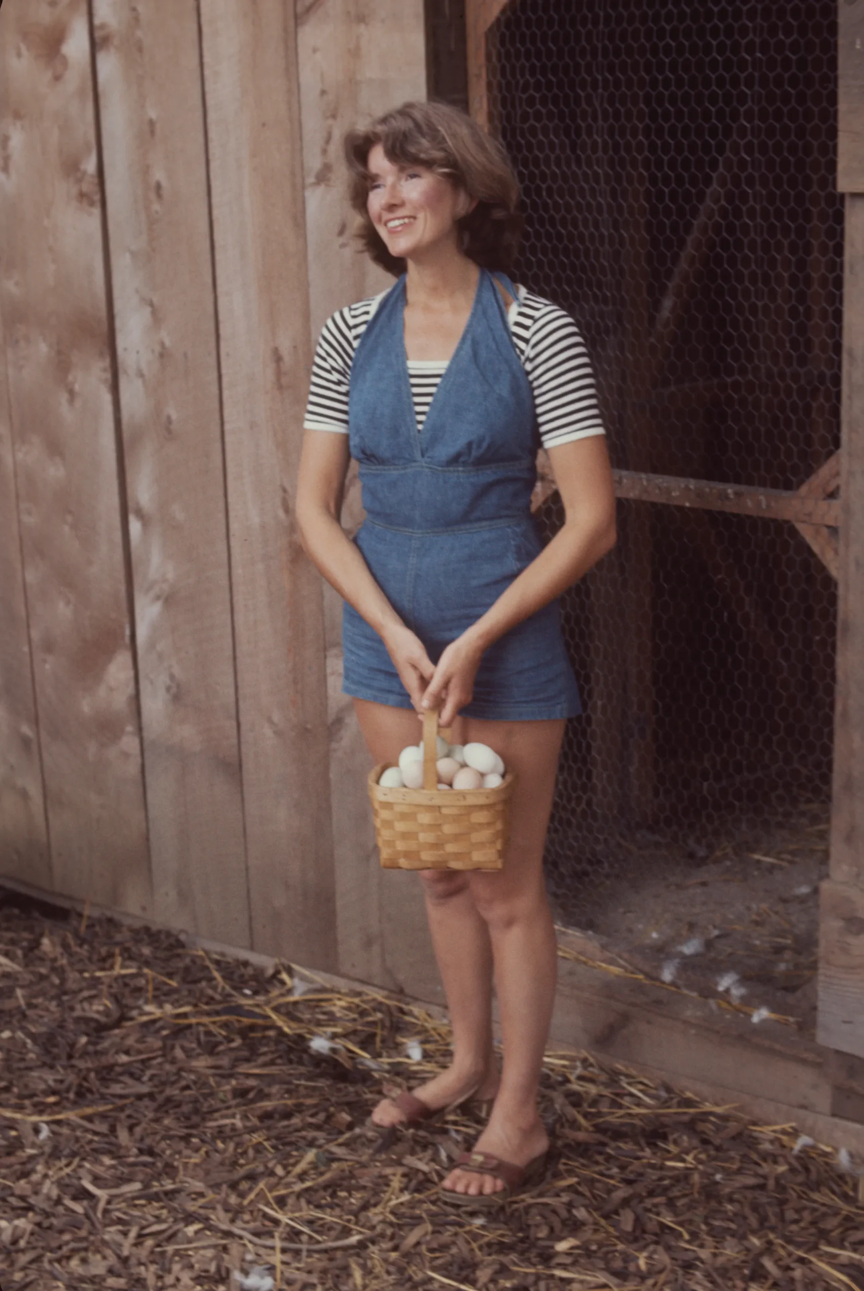 Stewart in Westport Conneticut