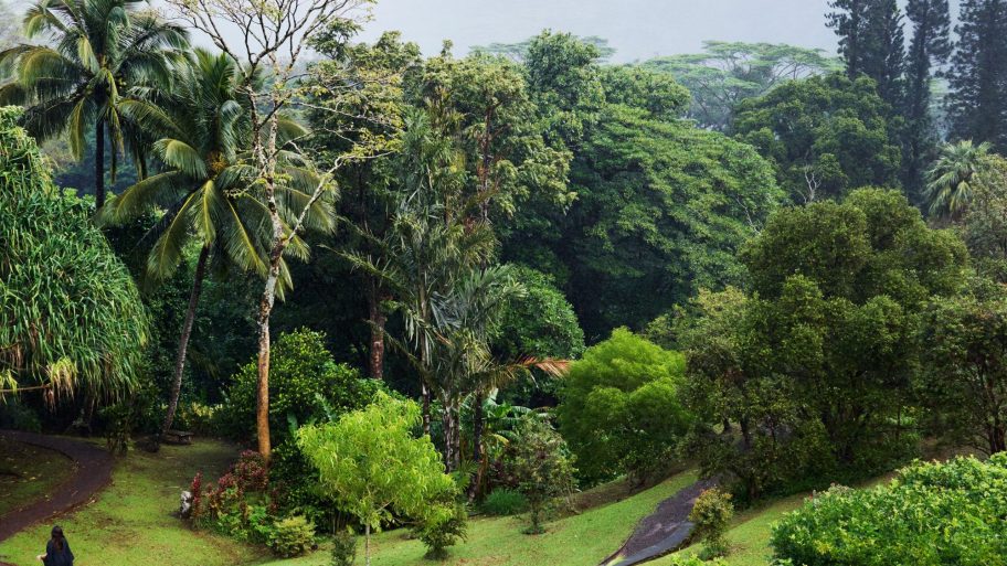 binnenkijken-in-een-mid-century-villa-tussen-eeuwenoude-bomen-op-hawaii-359543