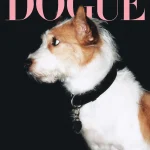 Dogue cover van Rosé's hond Hank