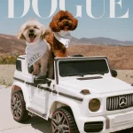 De honden van Sabrina Carpenter op de cover van Dogue 2025