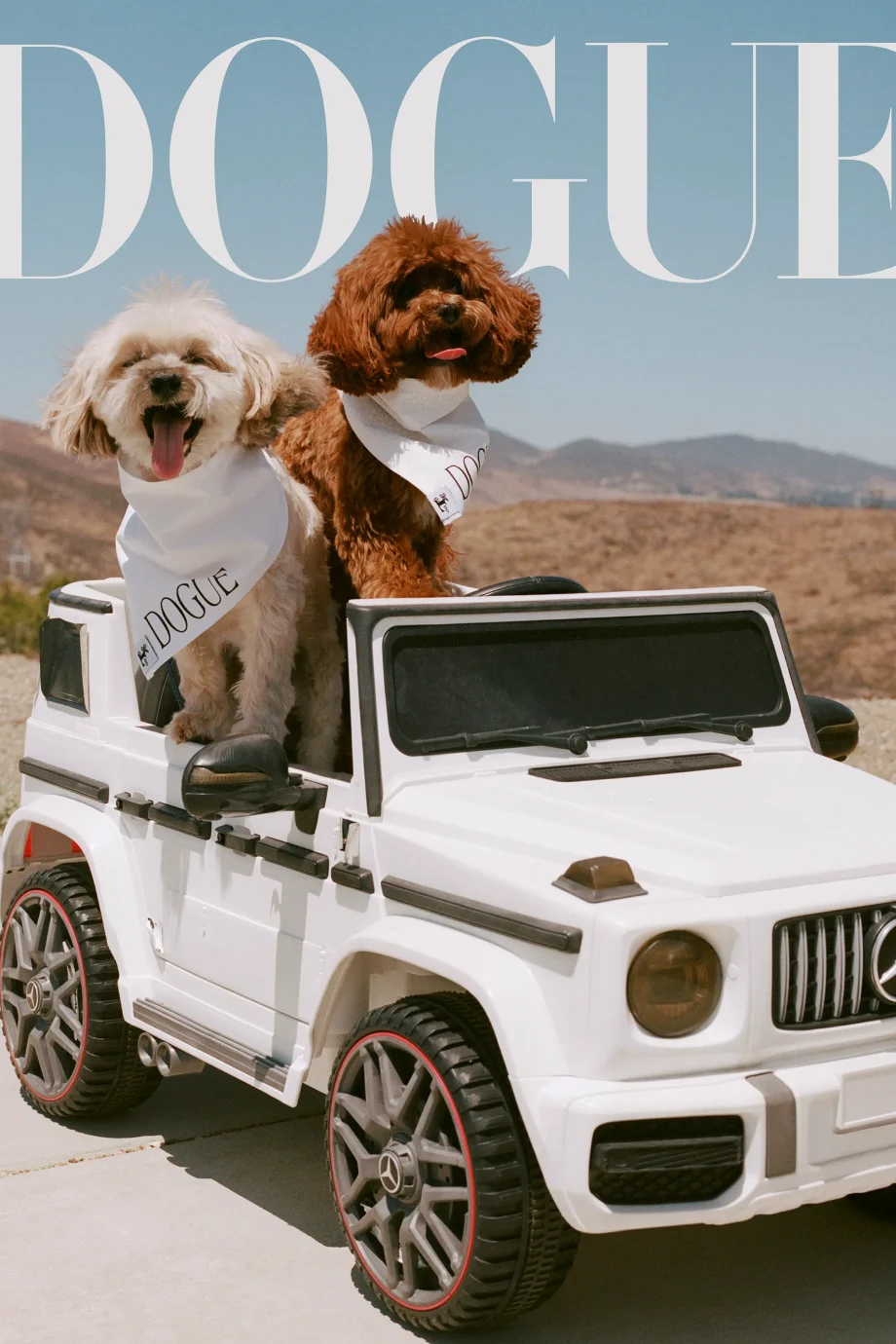 de-honden-van-sabrina-carpenter-hebben-hun-eigen-vogue-cover-359087