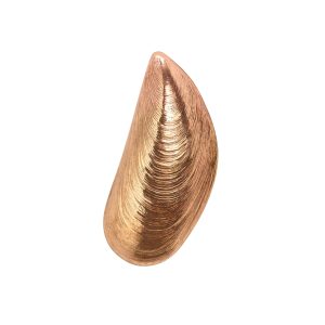 Oorbellen van Wouter & Hendrix