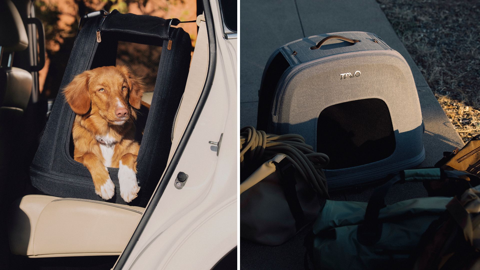 Transportbox, tavo pets