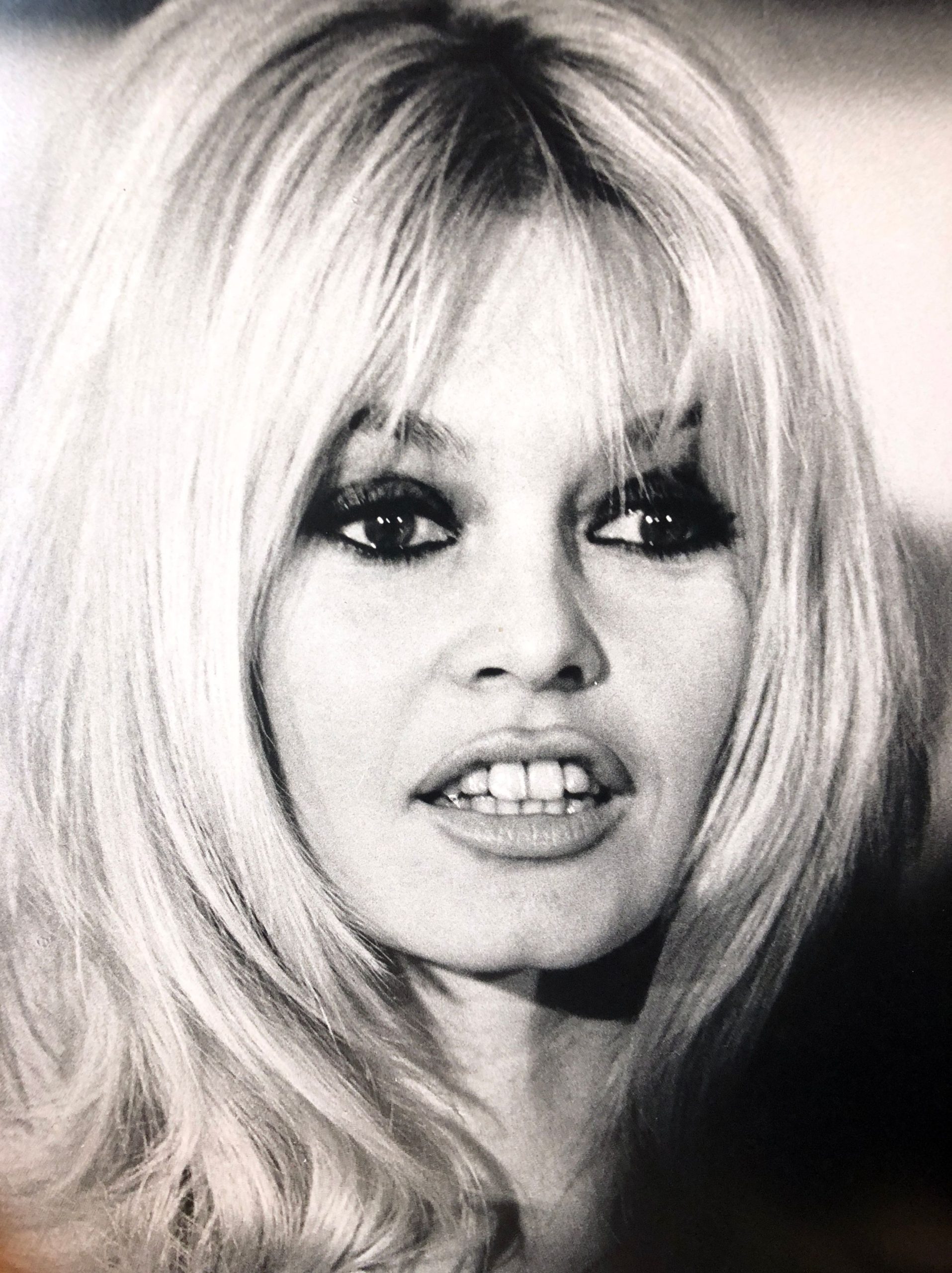 brigitte bardot in de jaren zestig