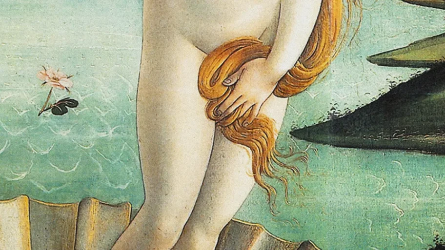 lopen-we-binnenkort-net-zo-trots-met-een-merkin-als-met-een-birkin-369949