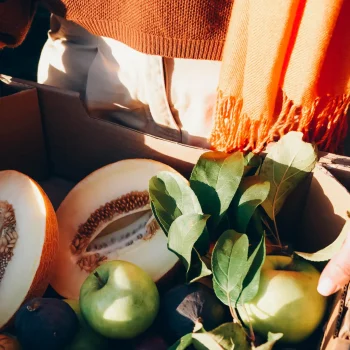 een-kiwi-is-altijd-gezond-maar-je-kan-m-het-best-op-dit-moment-eten-368710