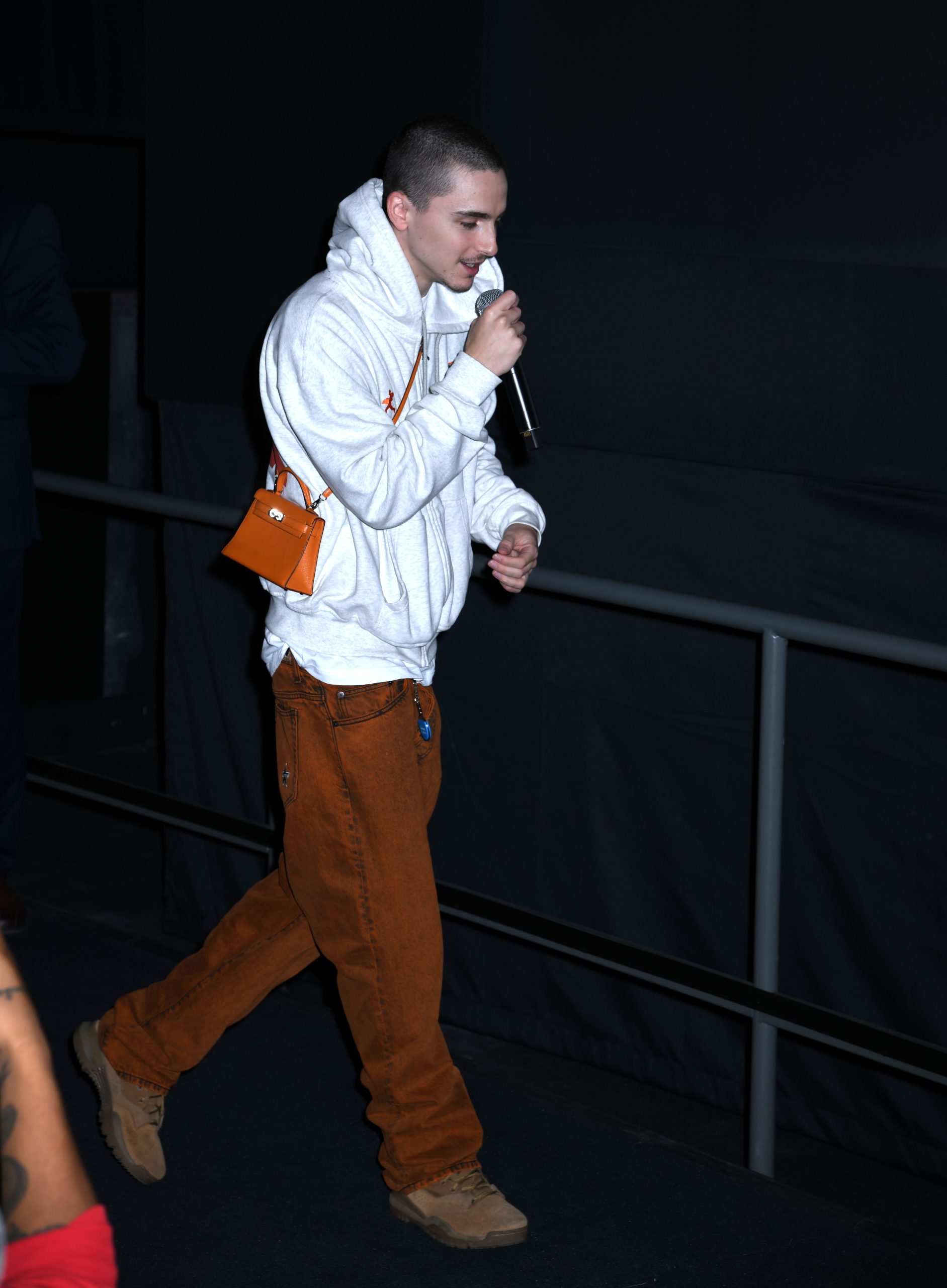 timothée chalamet met mini-bag kelly van hermès