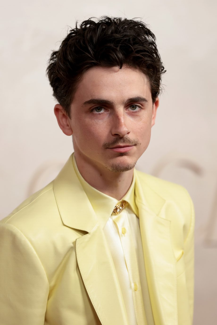 timothee-chalamet-in-new-york-gespot-met-mini-bag-van-hermes-367792