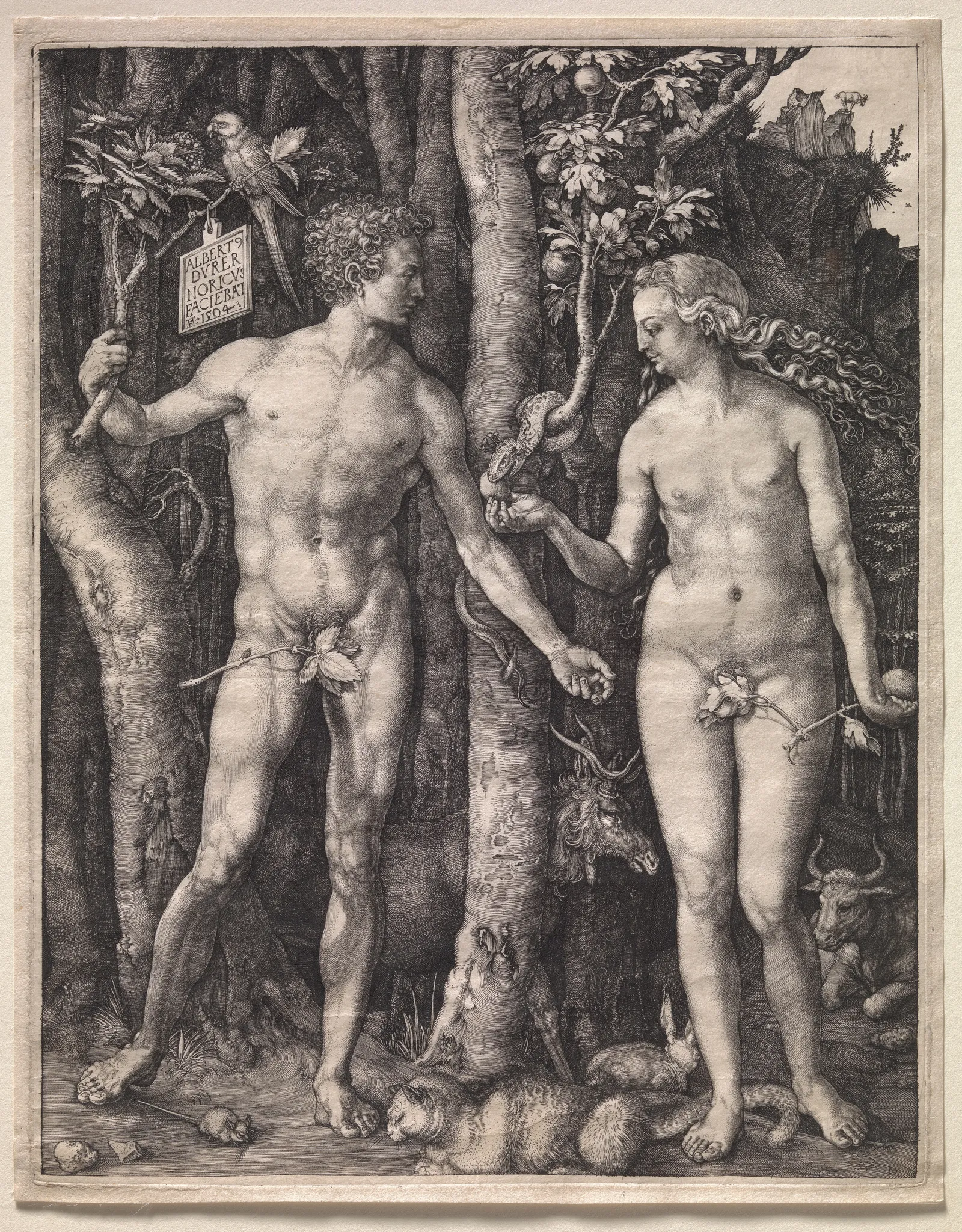 Het naakte lichaam: Adam en Eva, Albrecht Dürer (Duits, 1471–1528), 1504; Fletcher Fund, 1919 (19.73.1)
