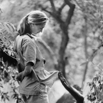 de-leukste-filmfestivals-die-je-wil-bezoeken-in-nederland-en-belgie-373042