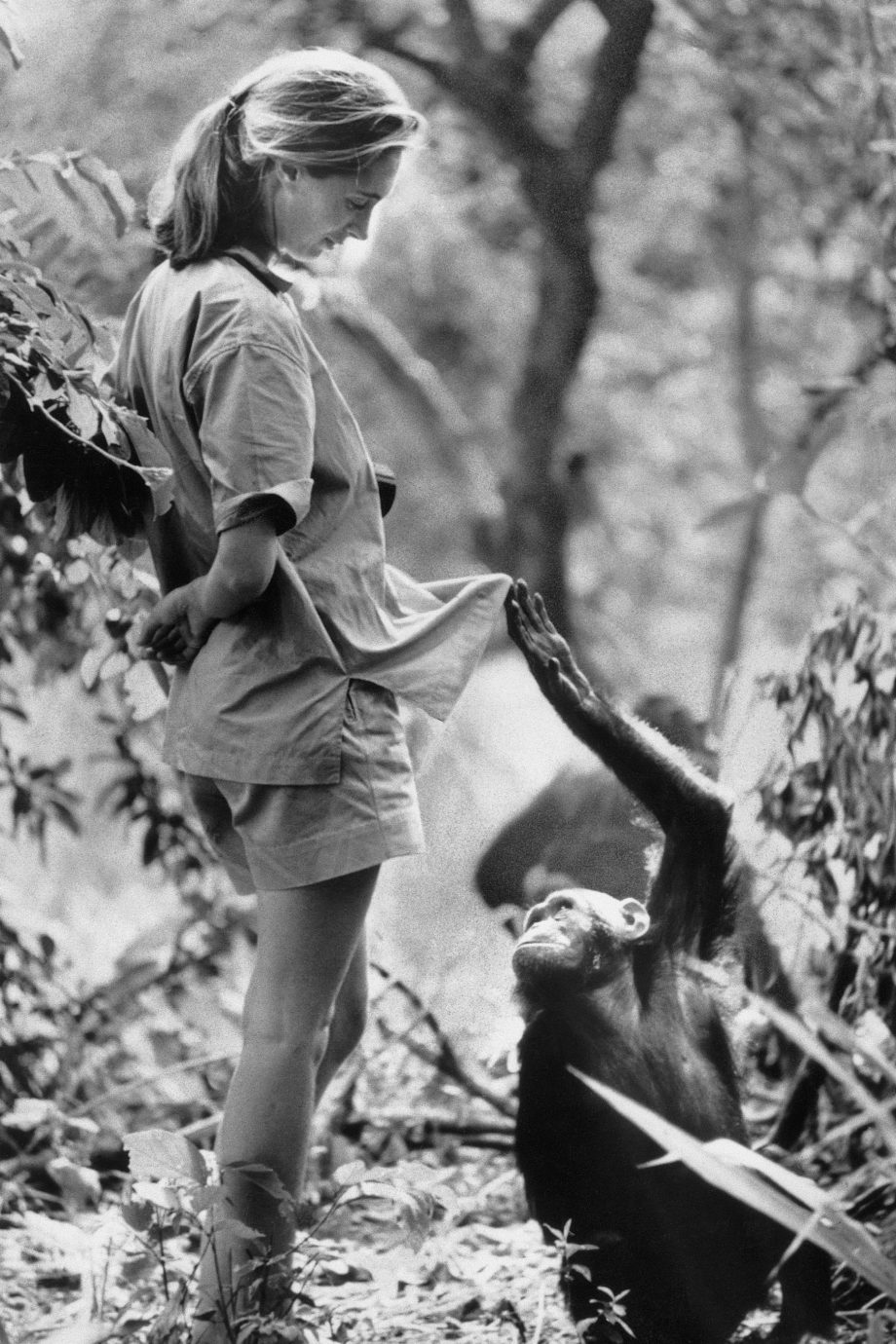 de-leukste-filmfestivals-die-je-wil-bezoeken-in-nederland-en-belgie-373042