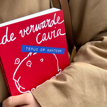 vogue-boekenclub-dit-zijn-de-recensies-van-de-verwarde-cavia-terug-op-kantoor-371618