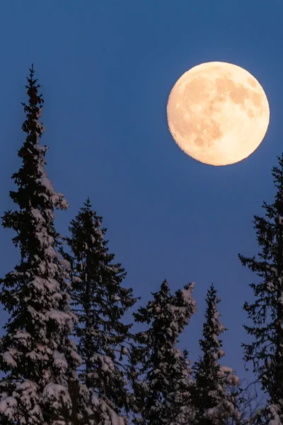 dit-zegt-de-eerste-volle-maan-van-2026-over-jouw-sterrenbeeld-378618