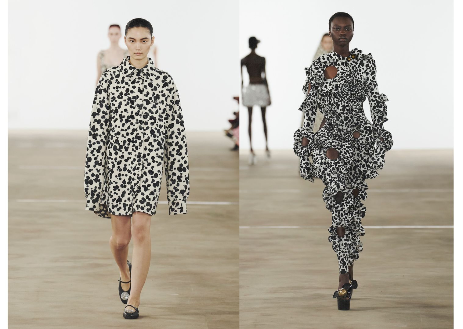 Area dalmatier dierenprint 2026