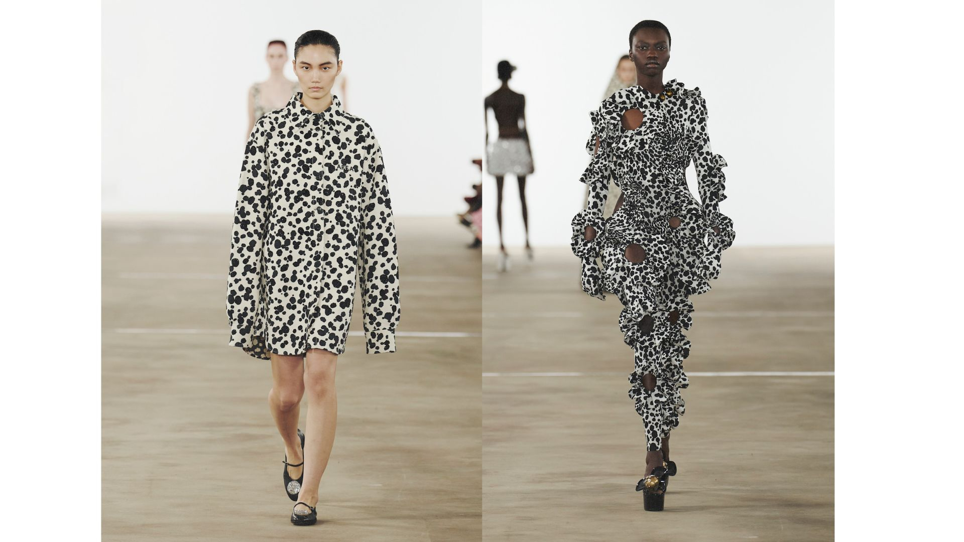 Area dalmatier dierenprint 2026