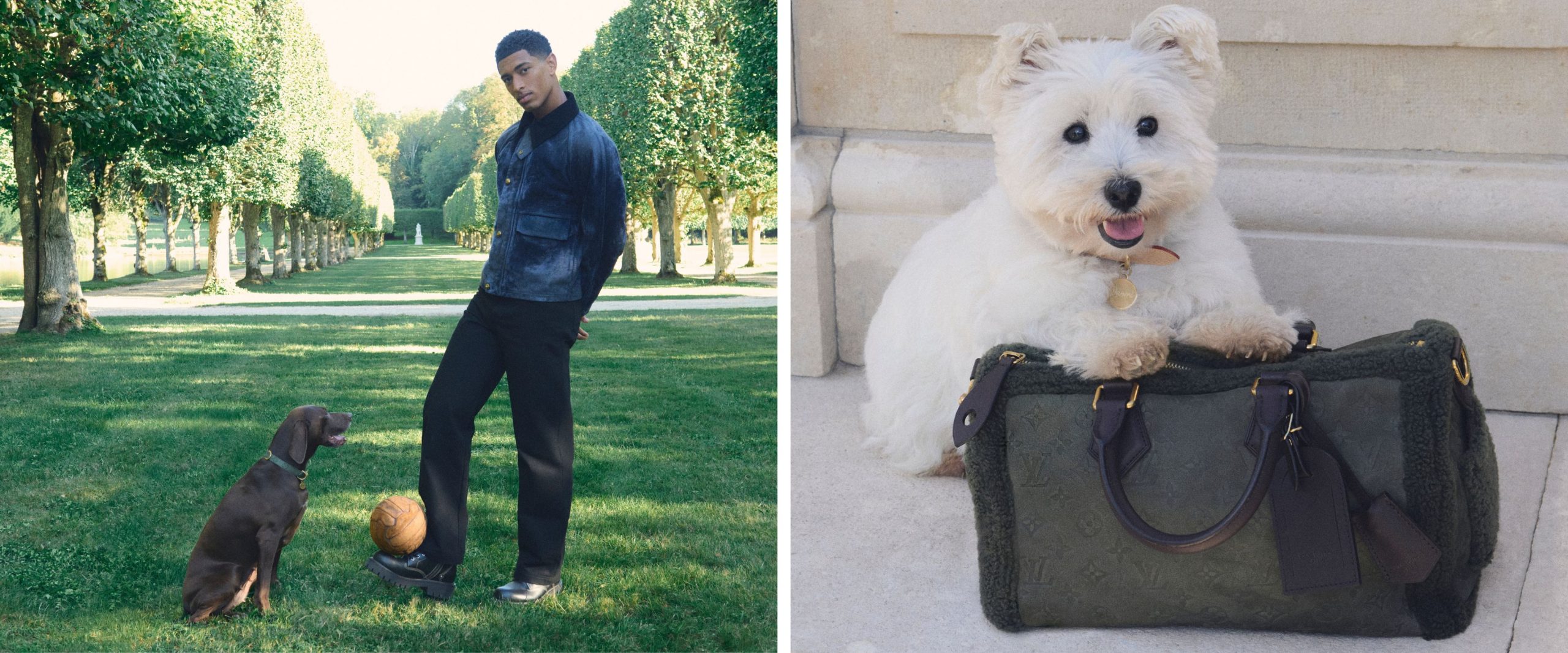 De hondencollectie van Louis Vuitton.