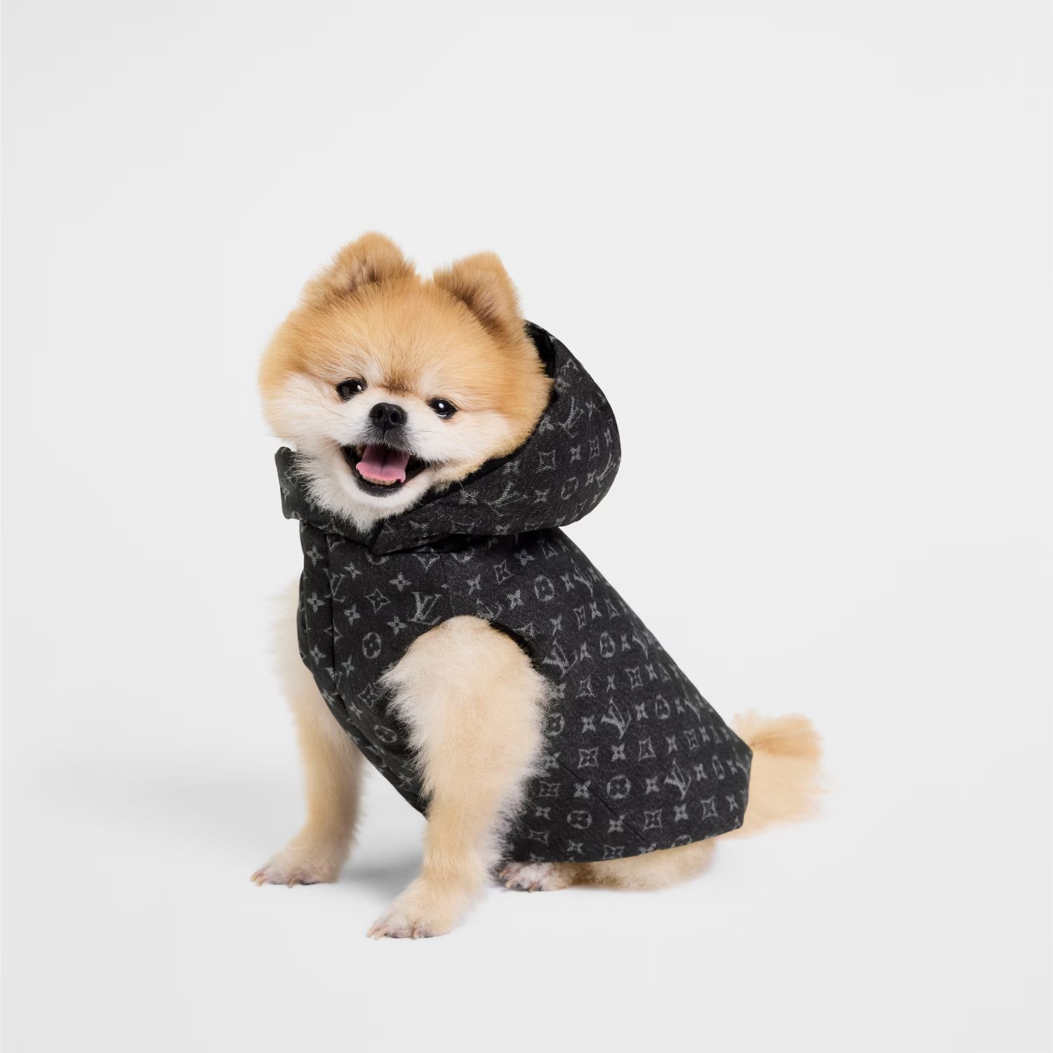 Een pufferjas voor honden van Louis Vuitton