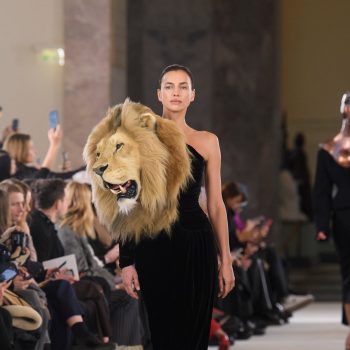 jaarhoroscoop-2026-leeuw-376965