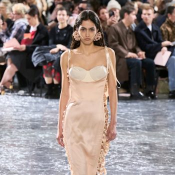 jaarhoroscoop-2026-stier-377011