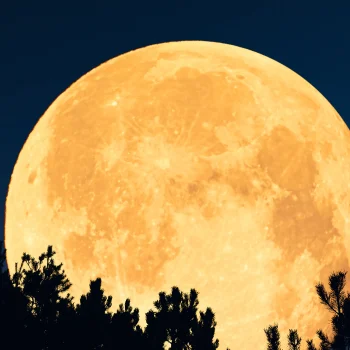 dit-is-wat-de-supermaan-van-5-december-2025-voor-ons-in-petto-heeft-375712