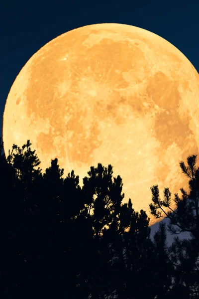 dit-is-wat-de-supermaan-van-5-december-2025-voor-ons-in-petto-heeft-375712