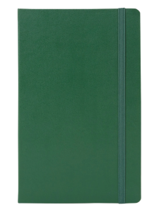 groen notitieboek moleskine