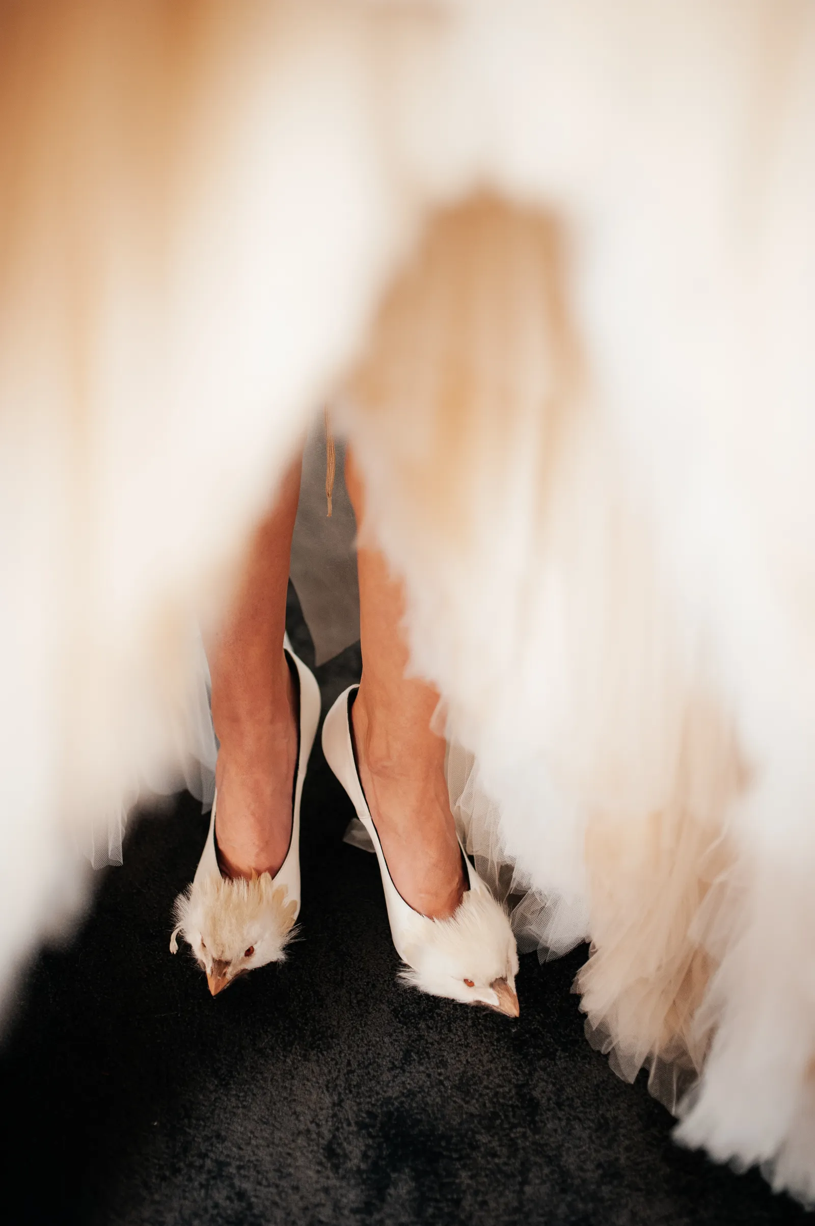 schiaparelli lente/zomer-2026 haute couture