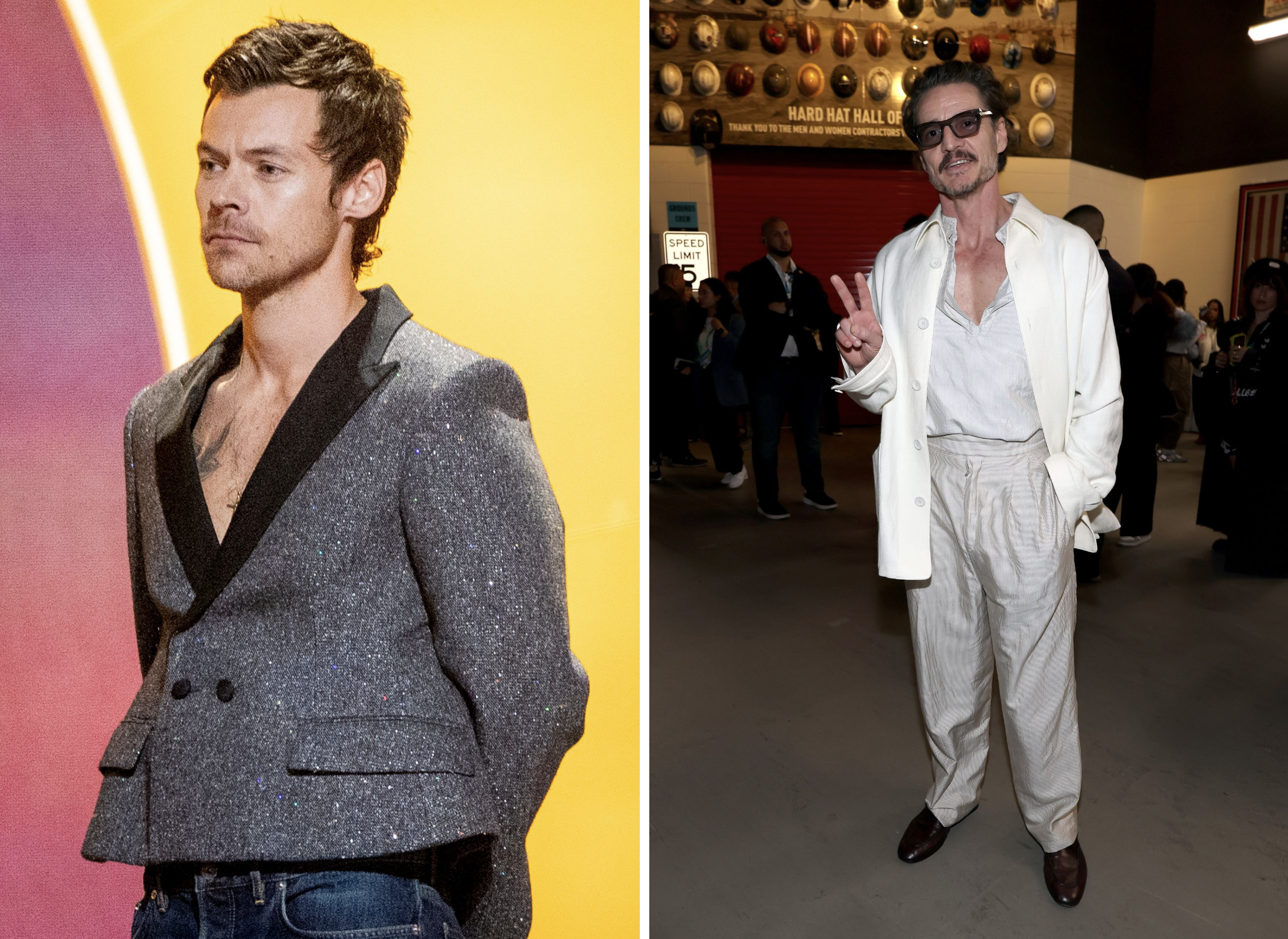 Harry Styles en Pedro Pascal voor 'sexy rode loper dressing'