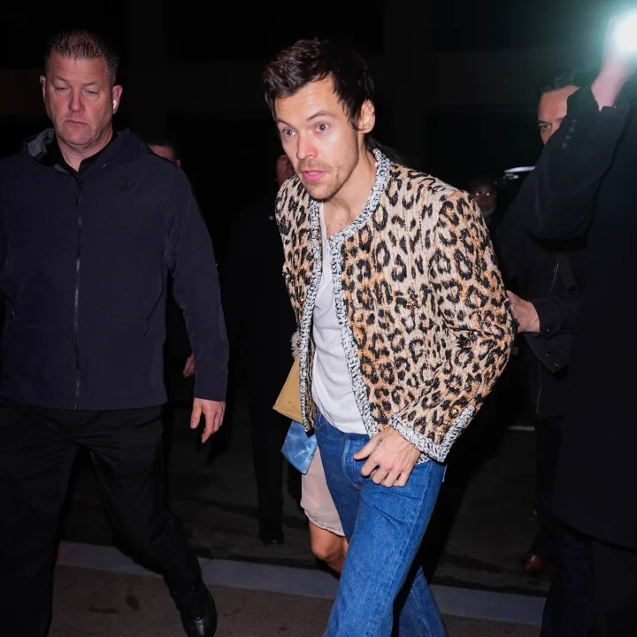 harry-styles-maakte-van-saturday-night-live-zijn-persoonlijke-catwalk-387759