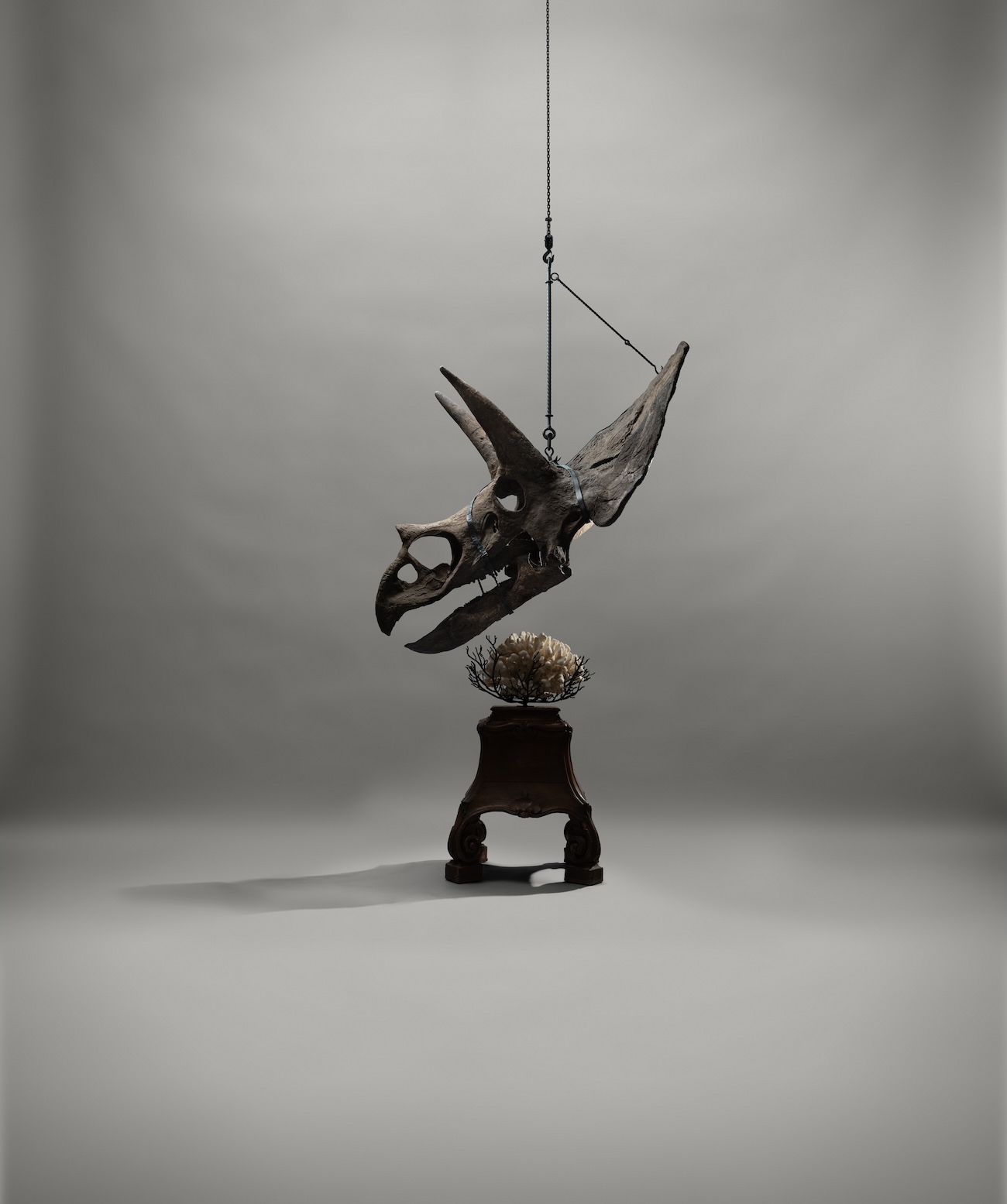 Beeld van de tentoonstelling Relics