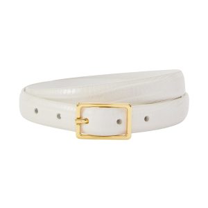 Klassieke riem van Anderson's