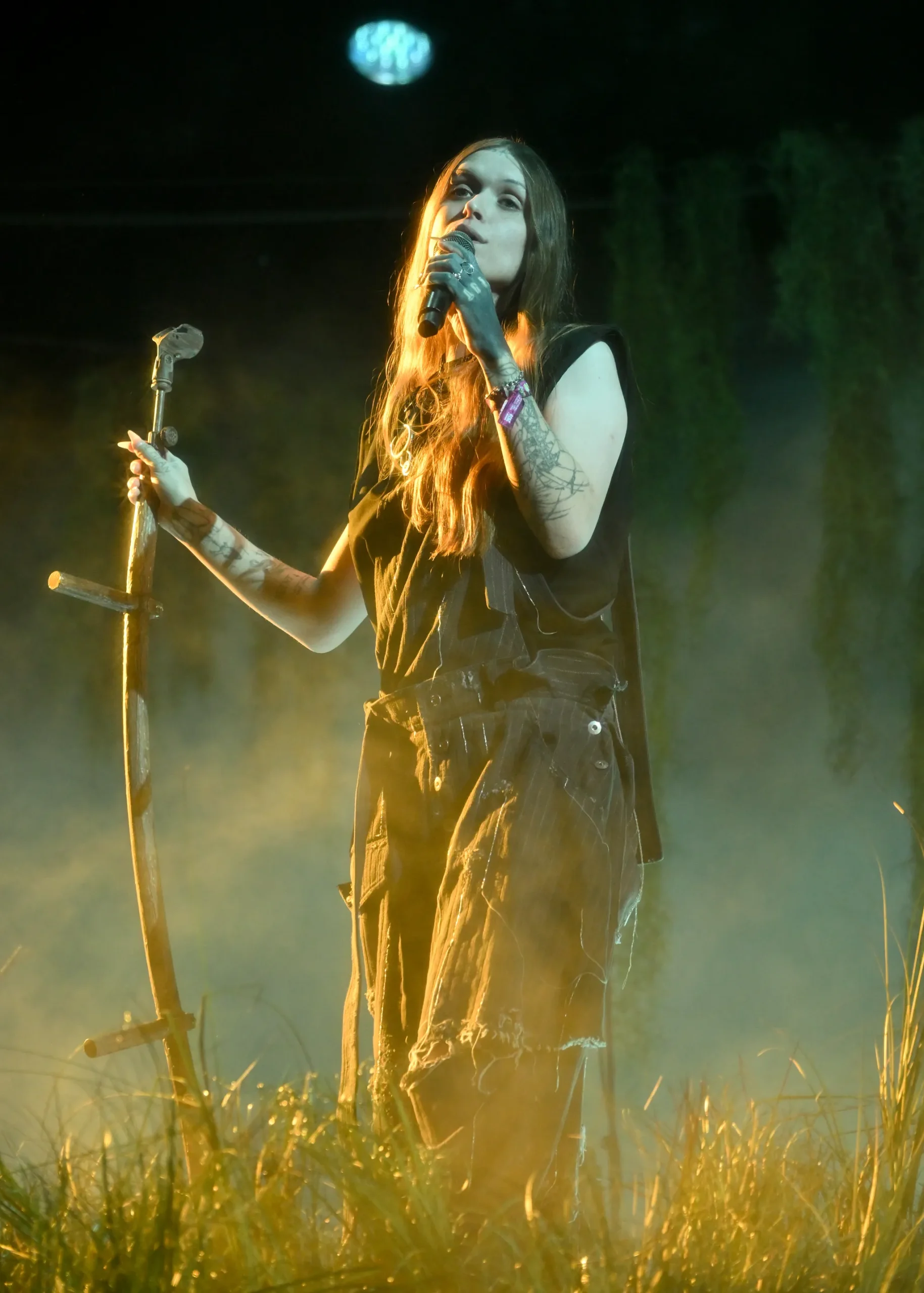 Beroemdheden op Coachella 2026