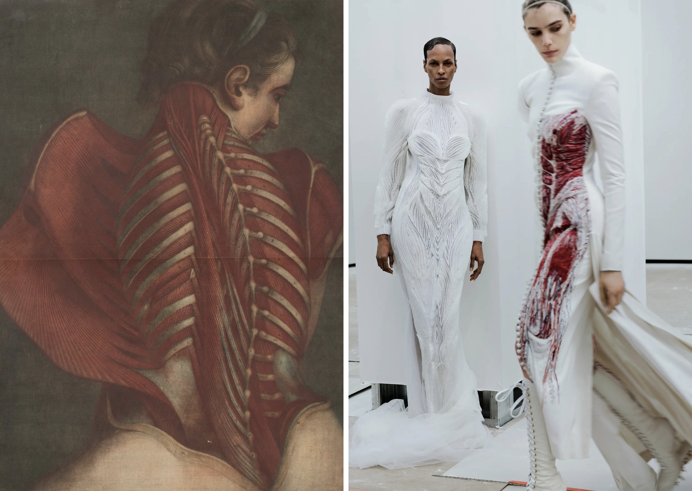 'Myologie Complette en Couleur et Grandeur Naturelle' (1746) van Jacques Fabien Gautier Dagoty (links), naast Robert Wun Couture en Thom Browne Couture, gedragen door modellen Yasmin Warsame en Betsy Gaghan