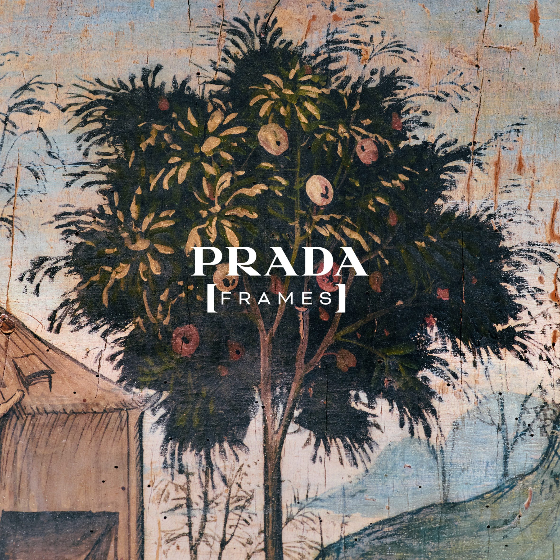 Prada Frames in Milaan