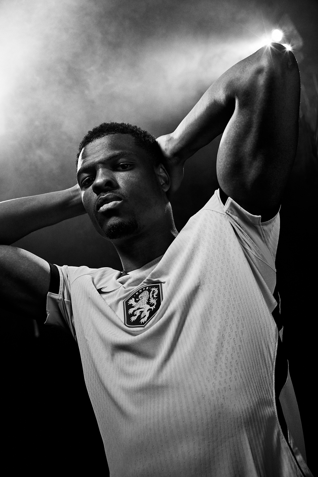 Denzel Dumfries