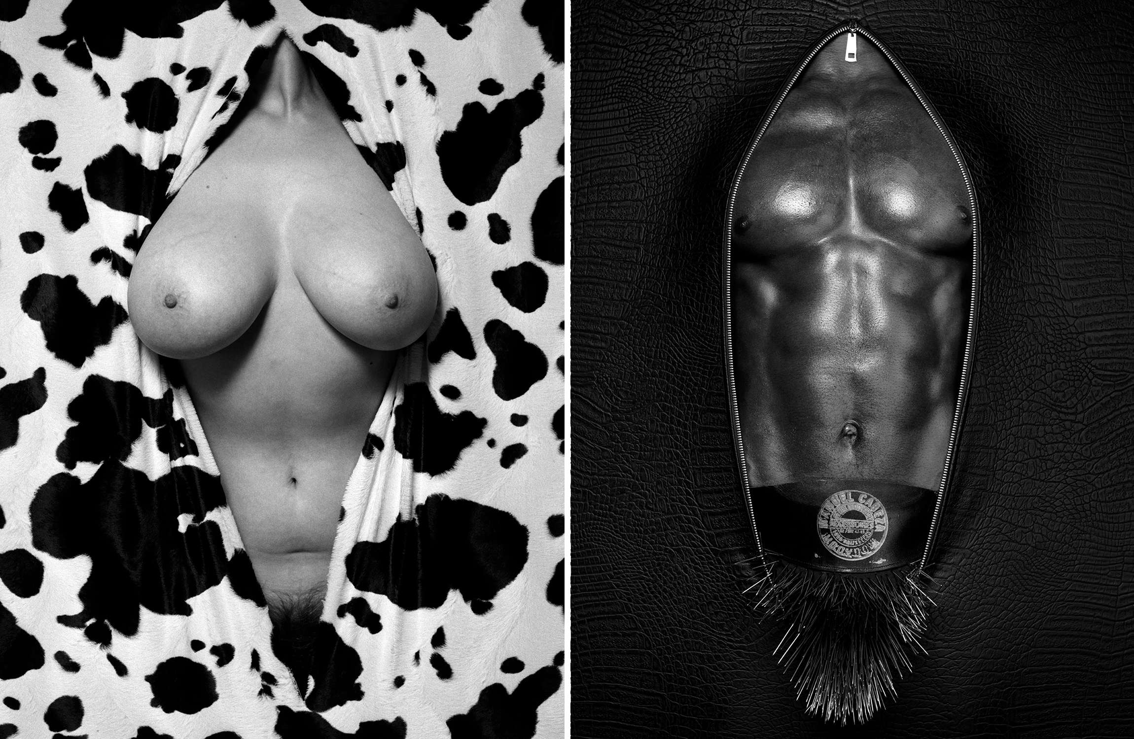 erwin olaf club raum vanguard revue