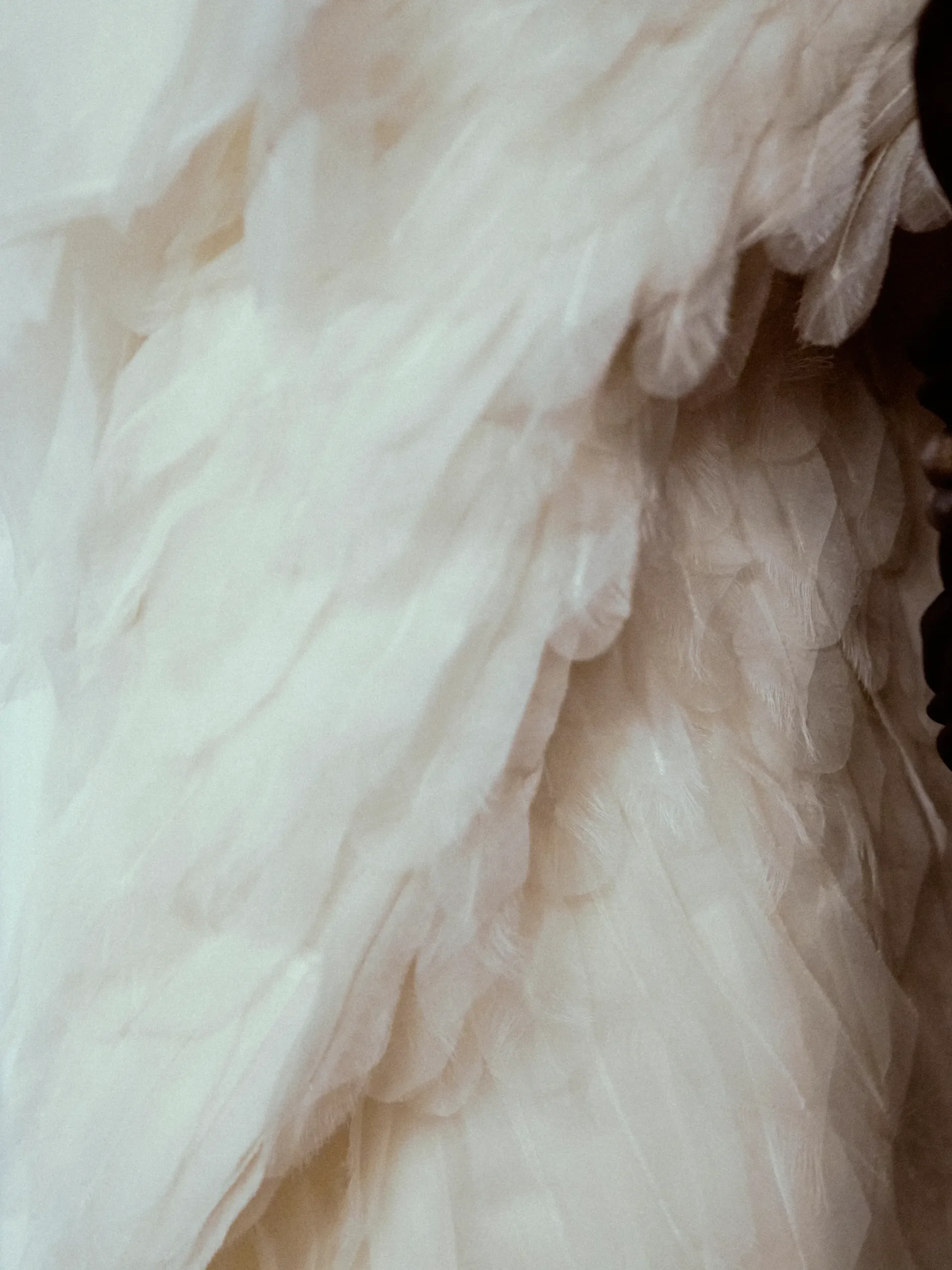 Backstage bij Rosalía's Dior-fittings tijdens haar LUX-tour
