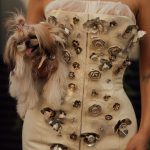 Sisii, het hondje van Poppy dat bij couture fashion week is