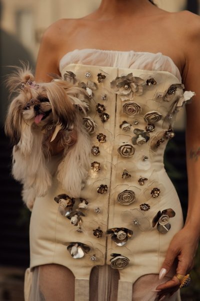 sisii-mag-dan-een-verdwaasd-hondje-zijn-ze-is-wel-een-verdwaasd-hondje-dat-front-row-bij-chanel-zit-400651