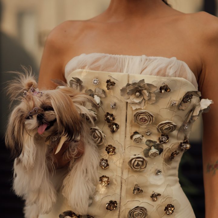 sisii-mag-dan-een-verdwaasd-hondje-zijn-ze-is-wel-een-verdwaasd-hondje-dat-front-row-bij-chanel-zit-400651