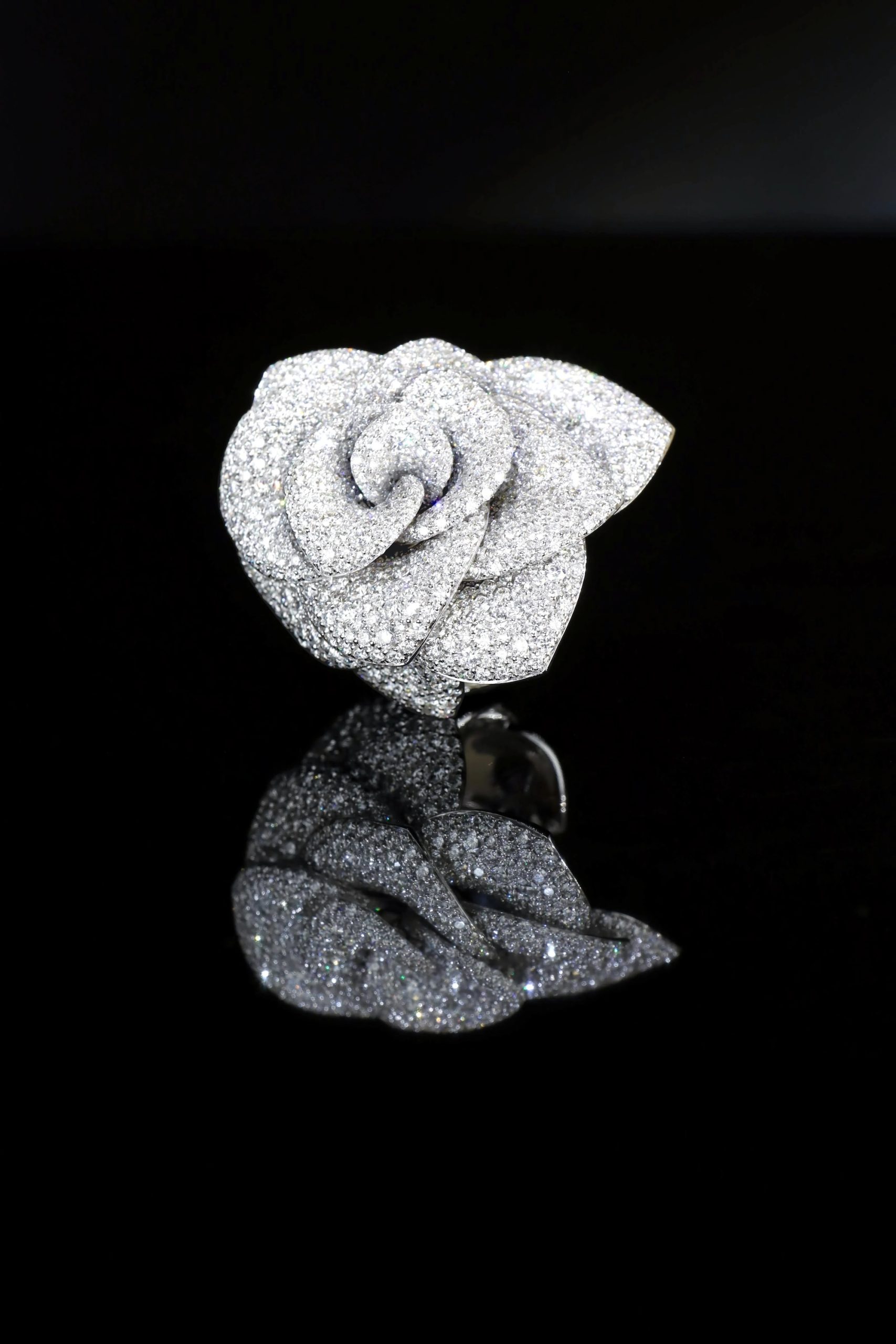 De Rosina-collectie van Pasquale Bruni