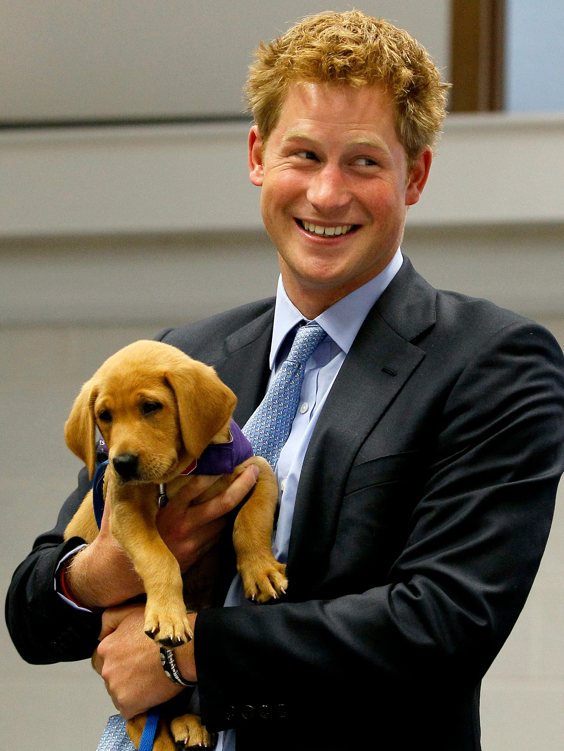De prins werd in 2010 gefotografeerd terwijl hij Veyron, een puppy, vasthield tijdens een bezoek aan het Canine Partners Training Centre.