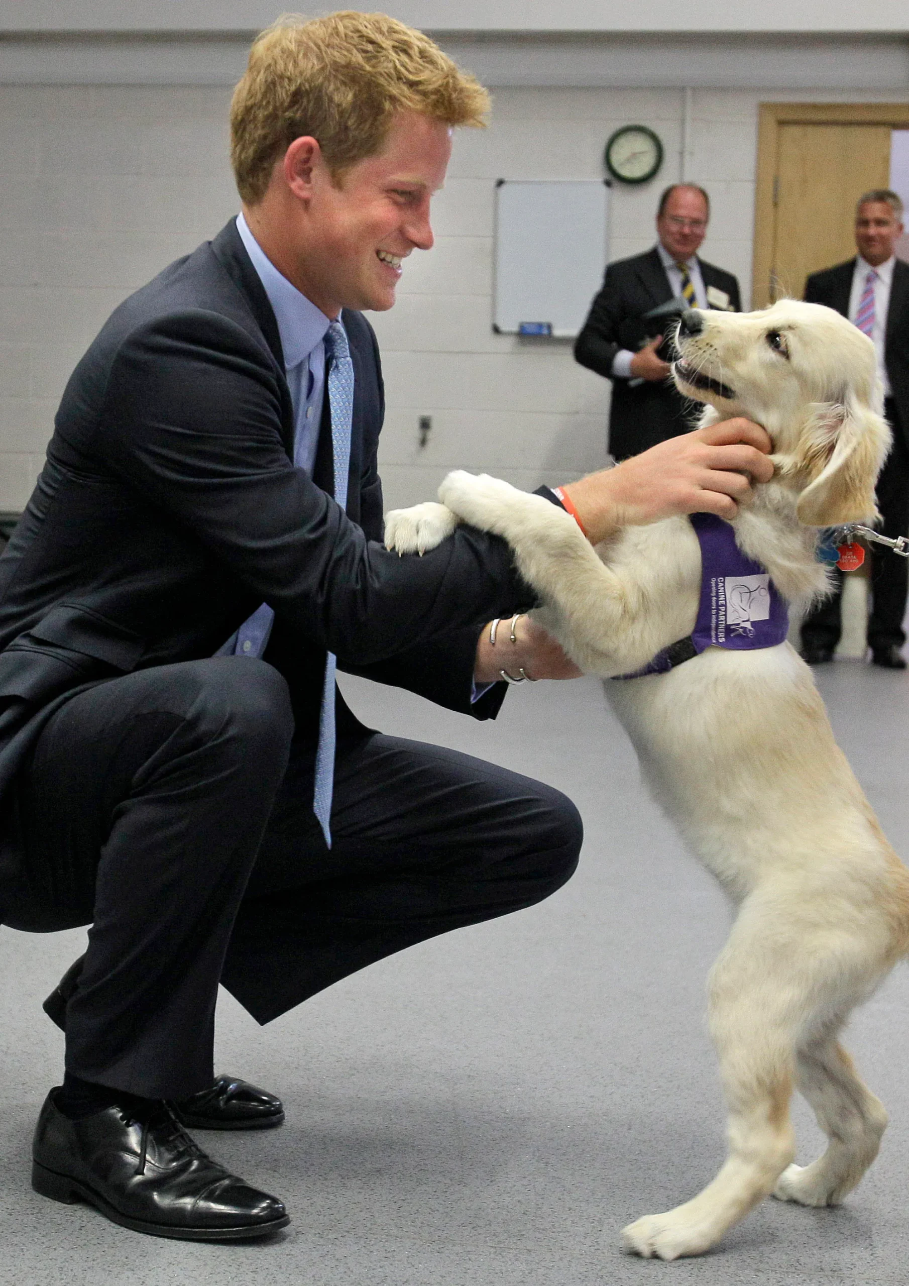 Prins Harry maakt tijdens zijn bezoek aan het Canine Partners Training Centre in 2010 kennis met Trudy, een puppy van het ras Golden Retriever die in opleiding is.
