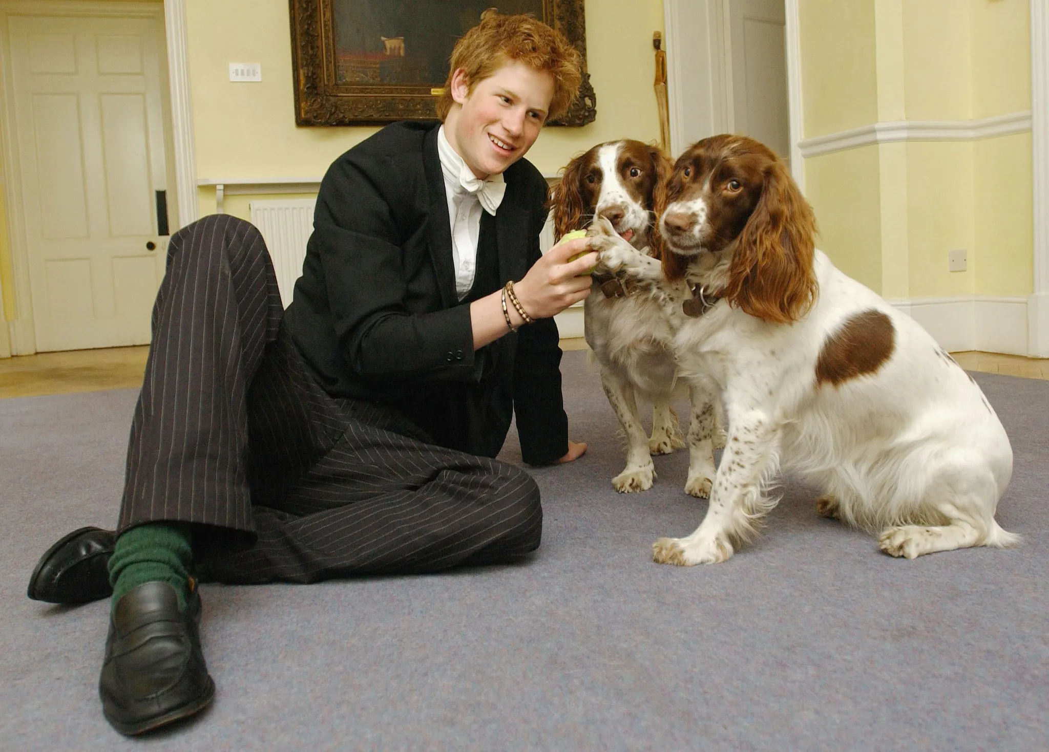 Prins Harry speelt met de honden van Andrew Gailey, Rosie en Jenny. Gailey was de huismeester van het Manor House van Eton College.