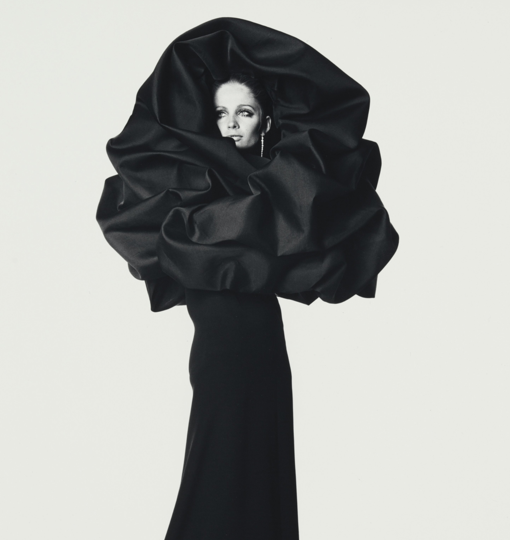 Tentoonstelling van Irving Penn